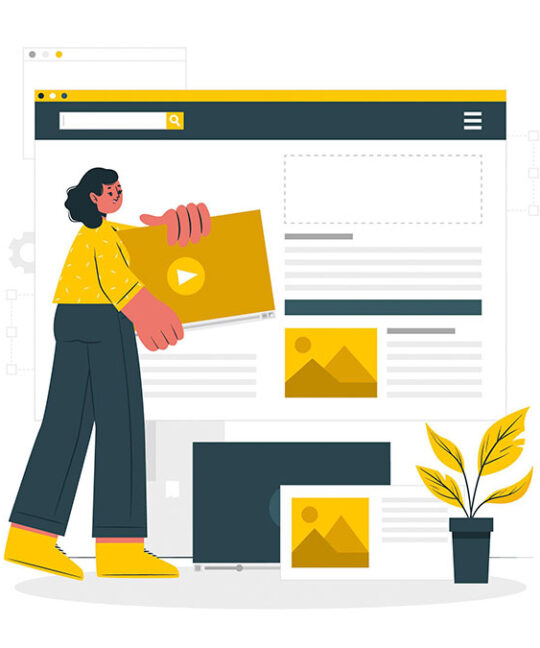 Website Design Trends for 2024: What You Need to Know